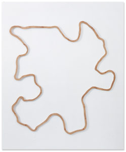 Fractal Loop